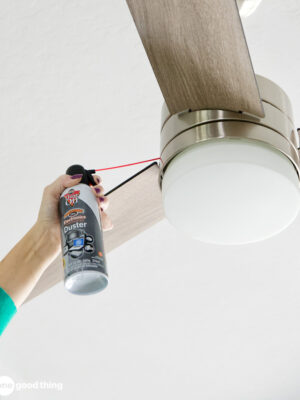 Ceiling Fan Cleaning