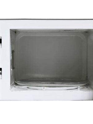 Microwave Cleaning
