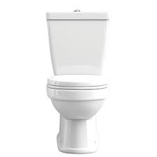 Western Toilet Replacement