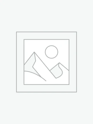 Intense Bathroom Cleaning